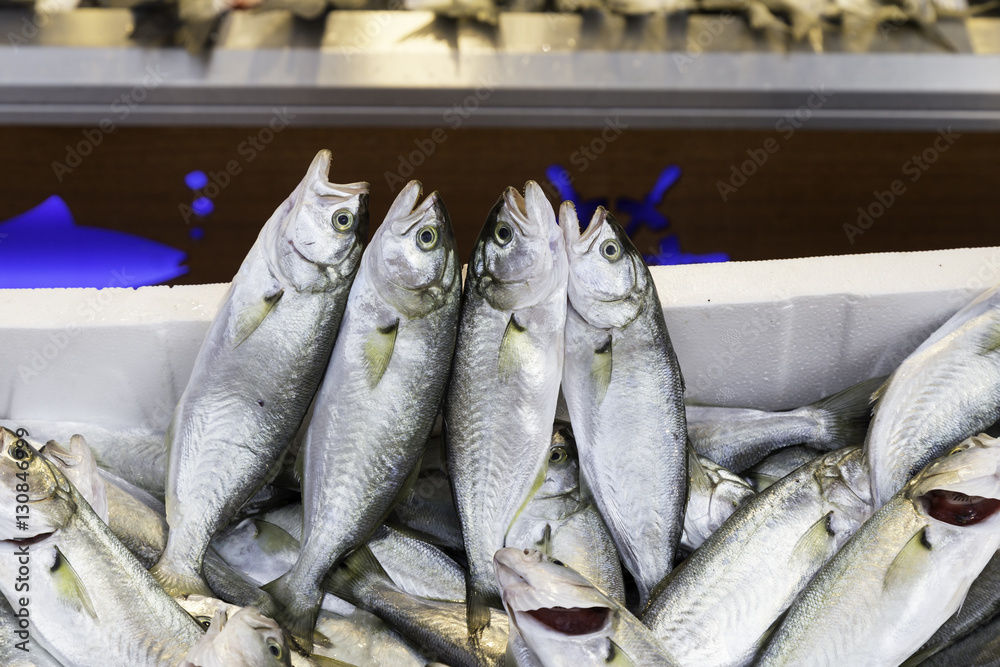 Fototapeta premium Fresh fishes at the market