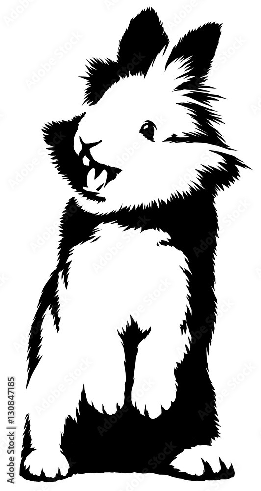 black and white linear paint draw rabbit illustration