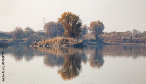 Beach on the lake with a reflection of the fall
