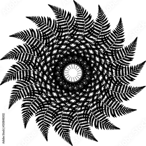 exquisite mandala pattern design in black and white