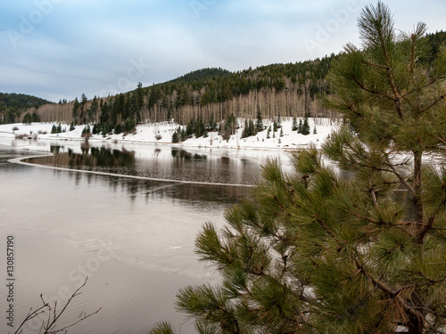 Frozen Lake and Trees in Winter