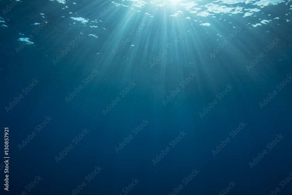 Underwater background in sea