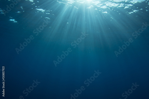 Underwater background in sea © Richard Carey