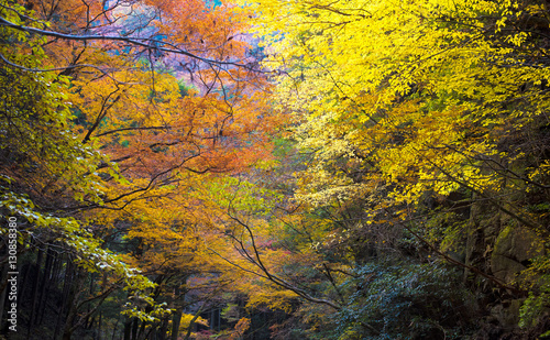 Akame Creek in Nabari, Mie, Japan