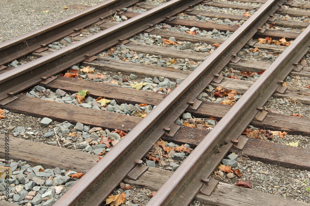 Two railroad tracks starting to diverge in Issaquah, Washington, USA Two railroad tracks starting to diverge in Issaquah, Washington, USA