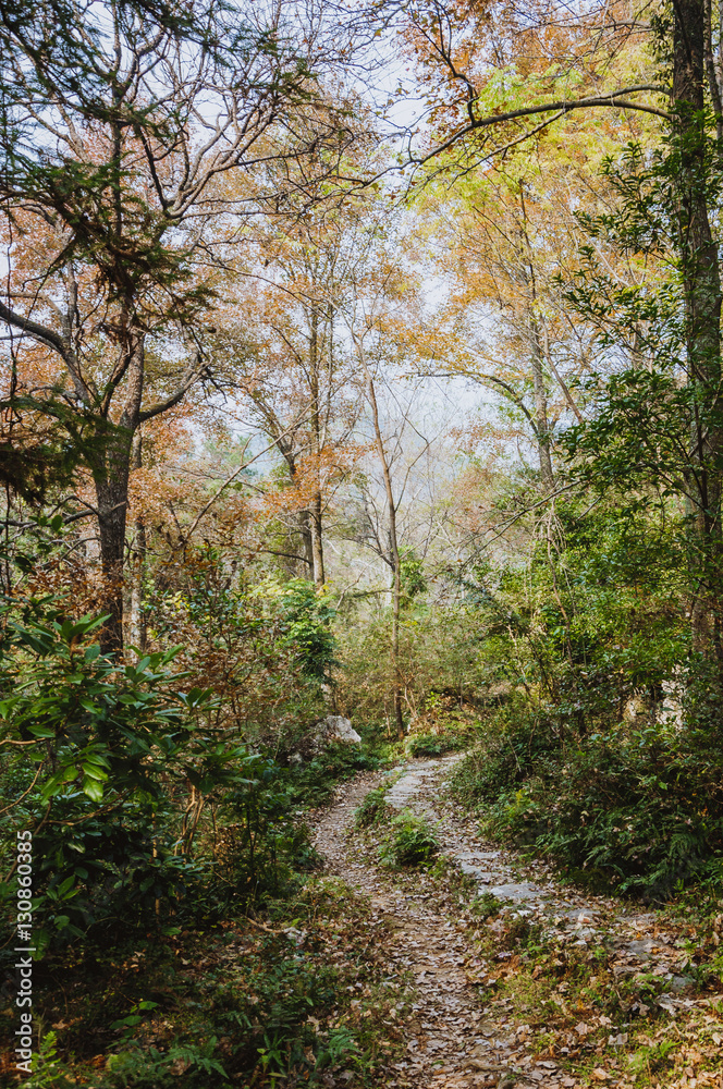 The stone path scenery in mountains The stone path scenery in mountains