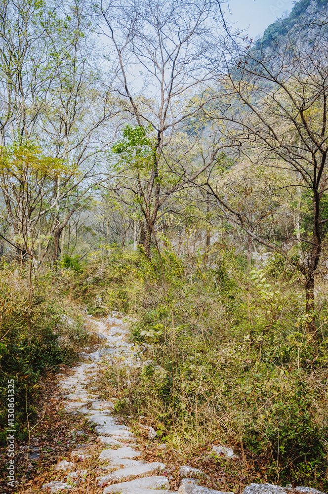 Fototapeta premium The stone path scenery in mountains