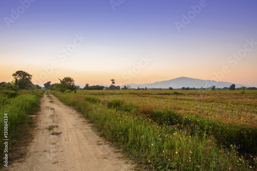 countryside at evening landscape