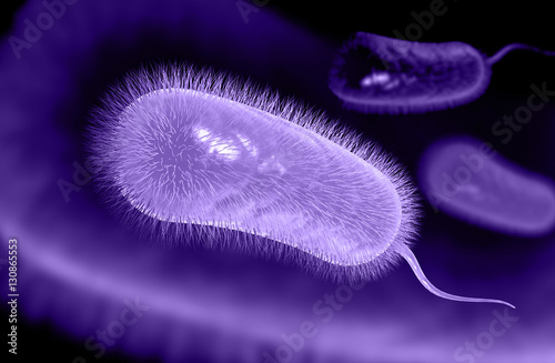 3d illustration of helicobacter pylori bacterium photo