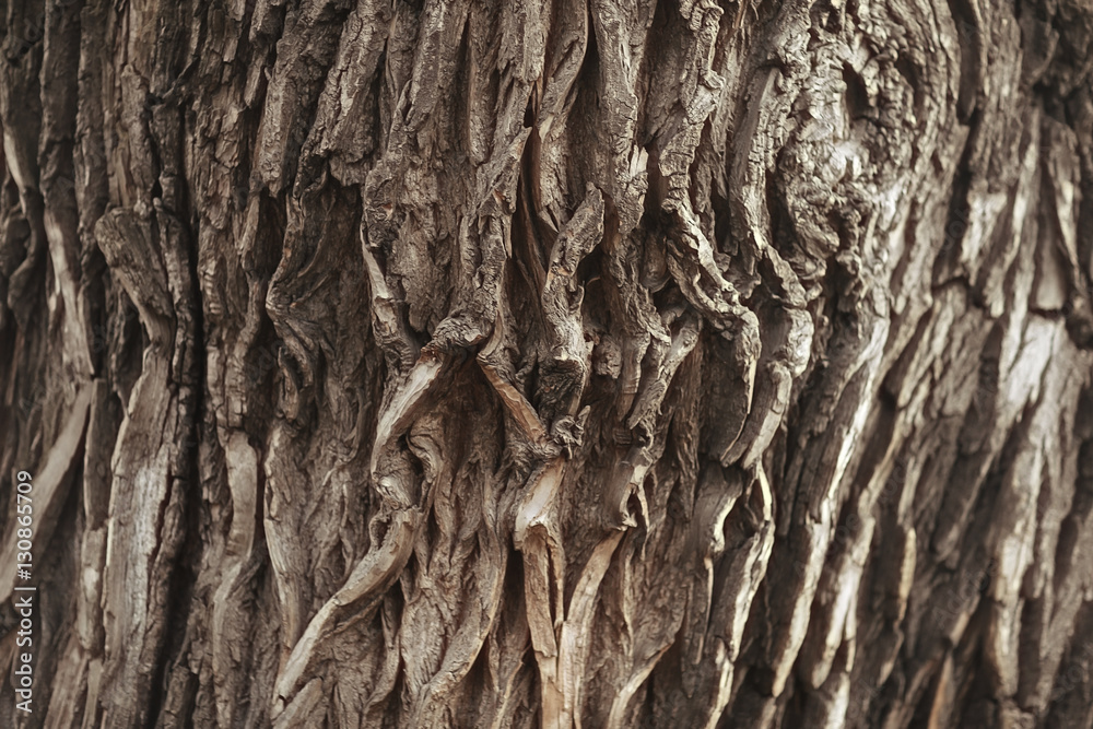 background texture of wooden planks logs bark background texture of wooden planks logs bark