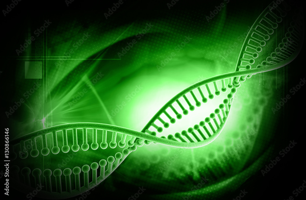 DNA structure DNA structure