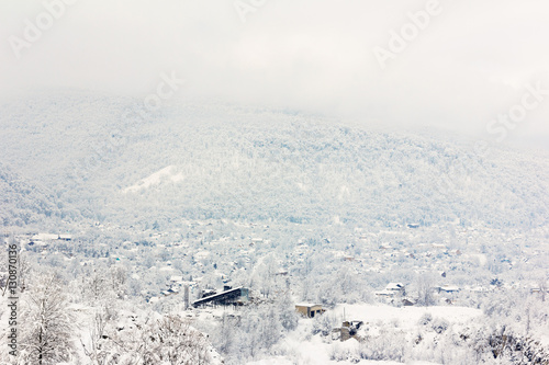 winter landscape. village in the hills of forest covered with snow, shallow depth of field