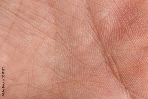 Macro photo of palm of the hand.