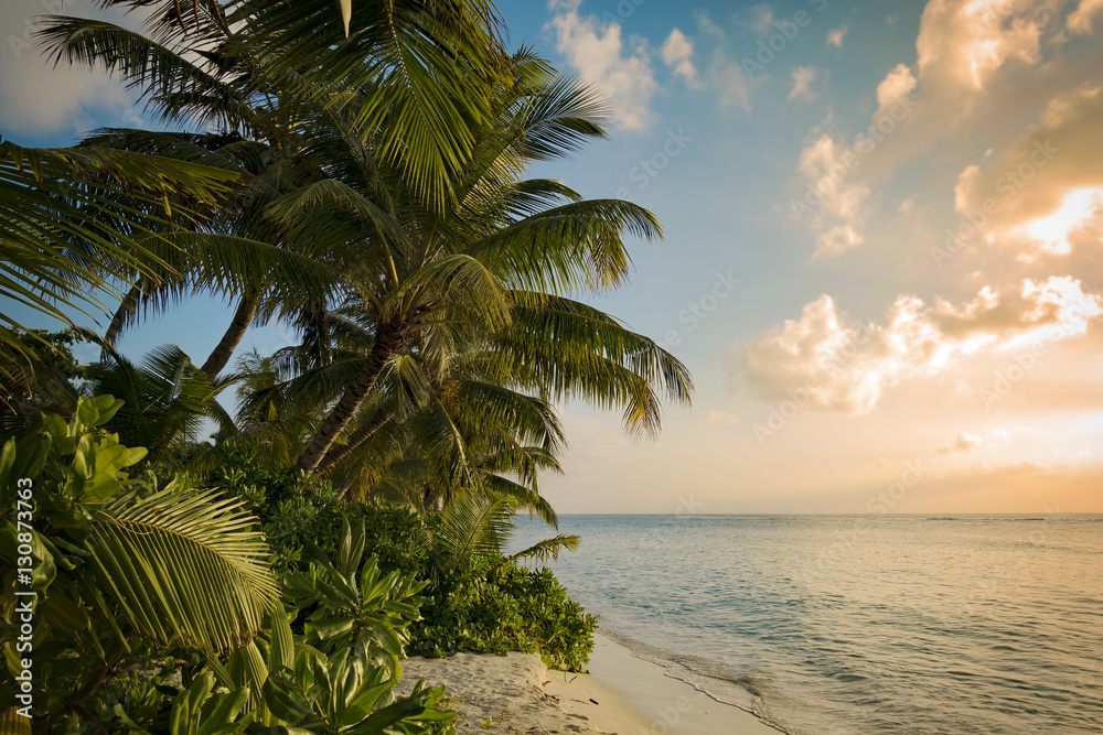 Obraz premium Warm sunset over tropical island beach