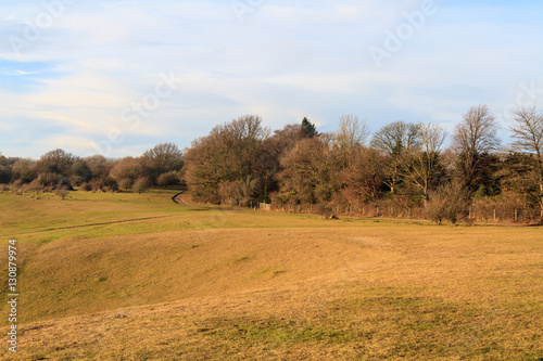 Surrey Landscape