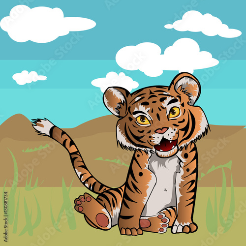 Fototapeta Naklejka Na Ścianę i Meble -  tiger picture