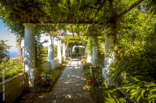 The gardens of Villa San Michele, Capri island, Italy photo