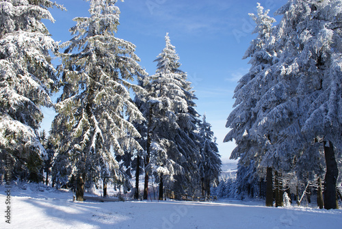 einsame Skipiste