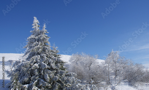 Winterlandschaft