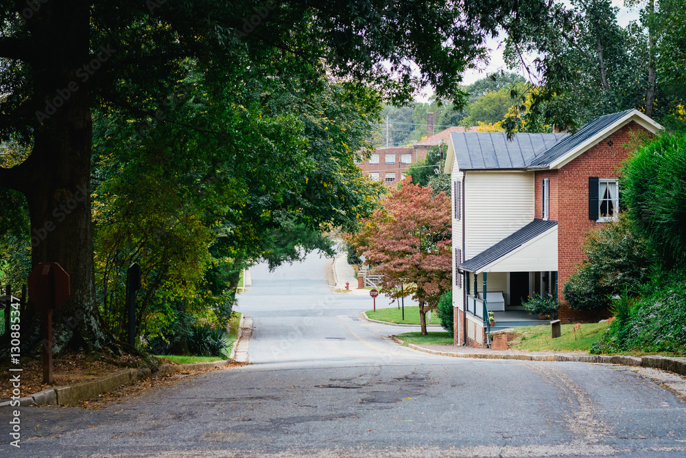 Street and houses in the Old Salem Historic District, in Winston