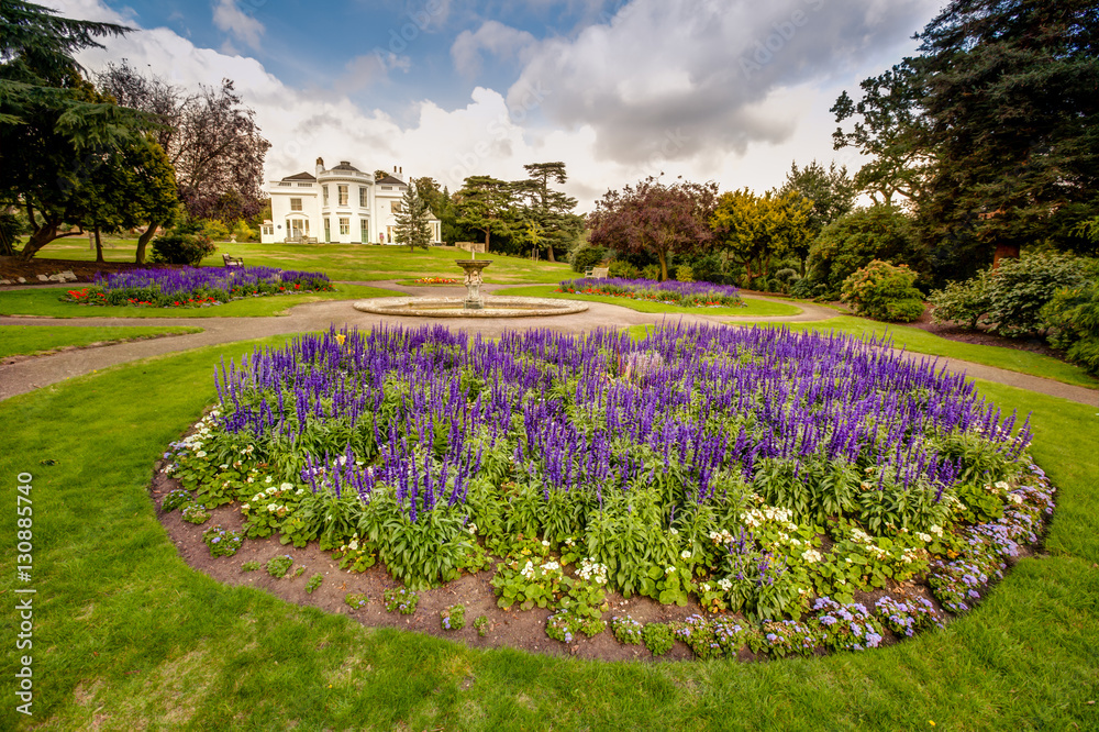 Obraz premium Lavender flowers in the Rookery