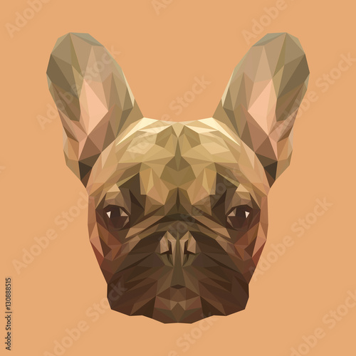 French bulldog animal low poly design. Triangle vector illustration.