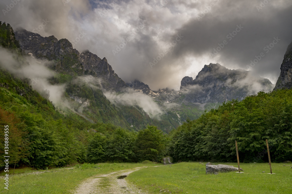 meadows and pastures in the Alps of Albania, Montenegro