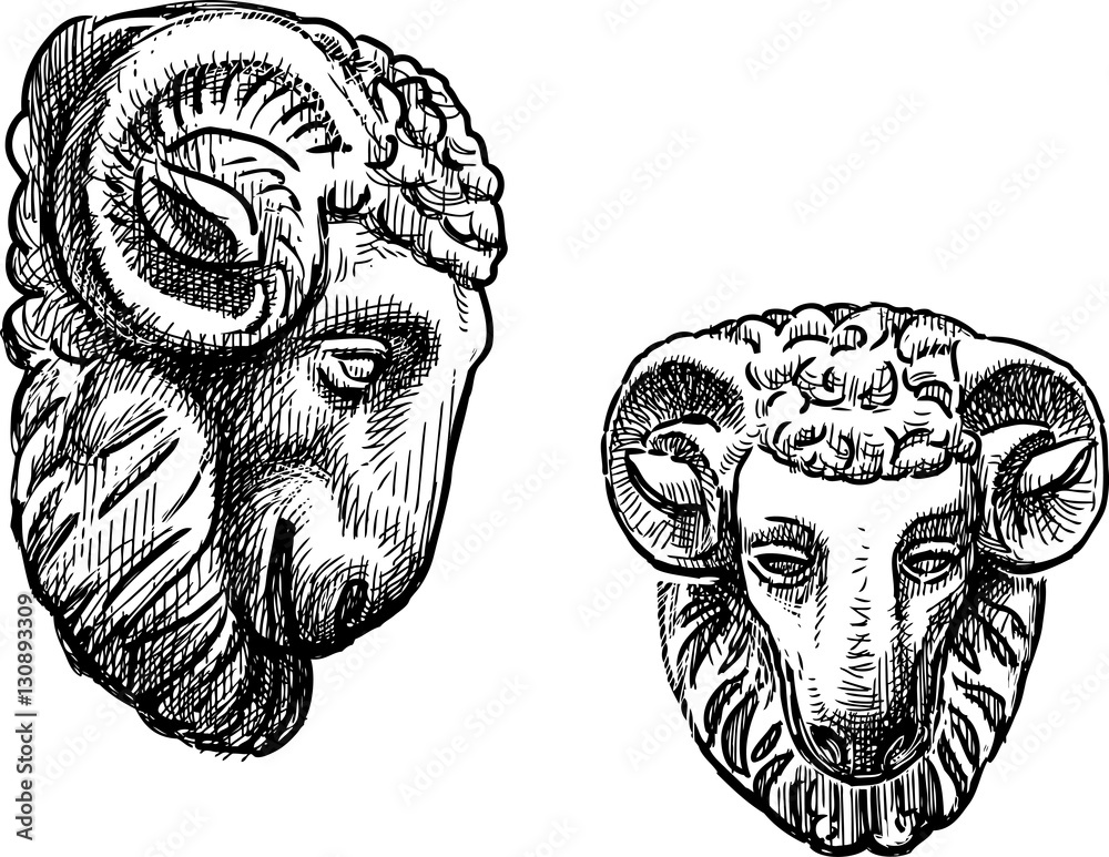 the architectural element in the form of a ram head