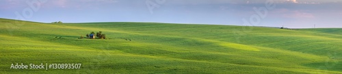 panorama of green fields and little farm house