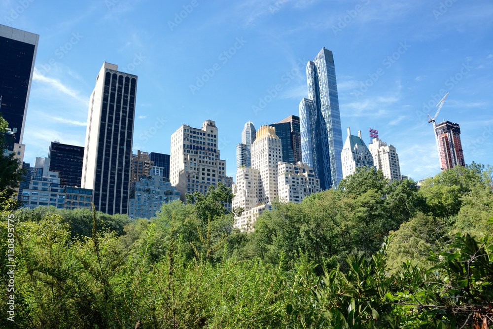 Midtown Manhattan/ Where architecture meets nature in a megalopolis 