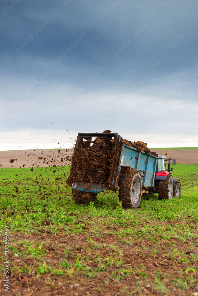 Obraz premium épandre le fumier