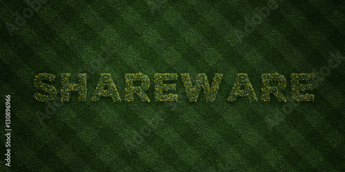 SHAREWARE - fresh Grass letters with flowers and dandelions - 3D rendered royalty free stock image. Can be used for online banner ads and direct mailers..