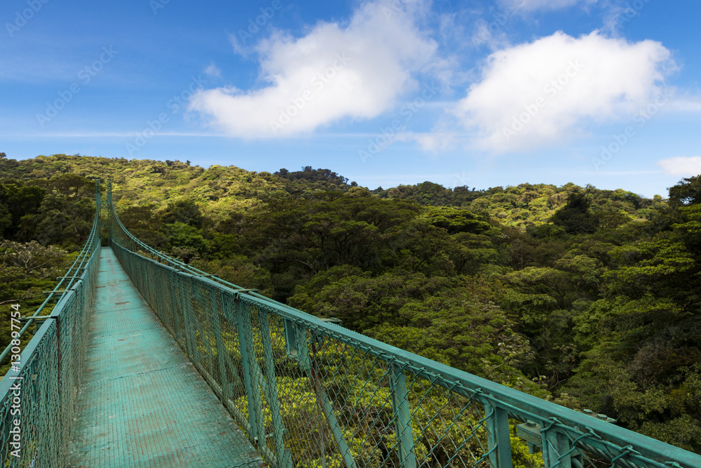 Suspended bridge over the canopy of the trees in Monteverde, Costa Rica, Central America Suspended bridge over the canopy of the trees in Monteverde, Costa Rica, Central America