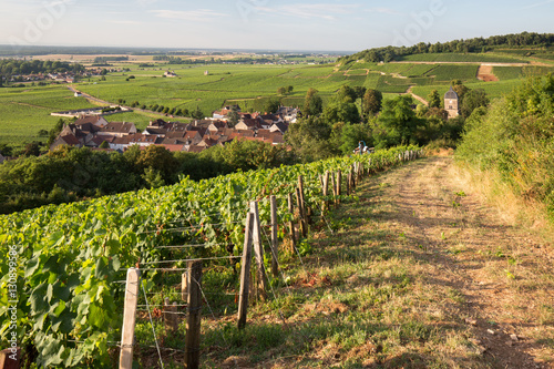 Vignoble en Bourgogne
