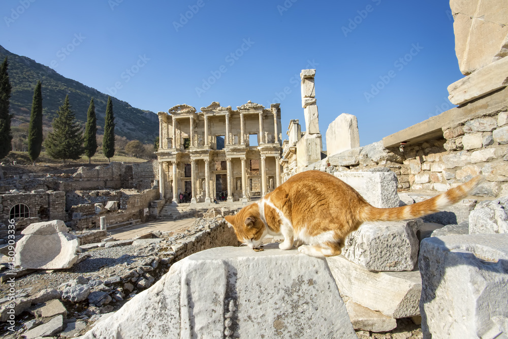 Ephesus visual data 2