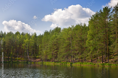 Trees on lake