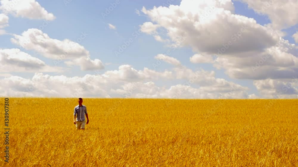 young handsome man walks through the wheat field from distance to the camera young handsome man walks through the wheat field from distance to the camera