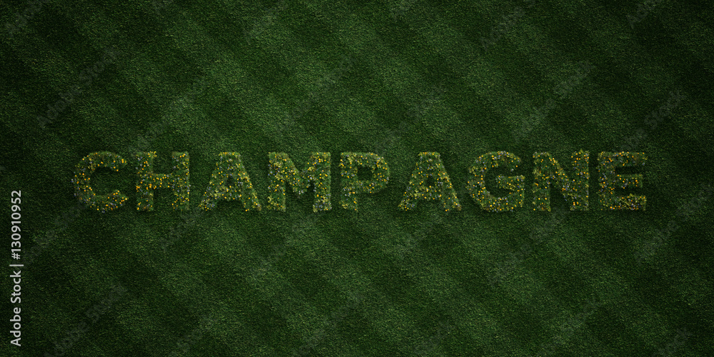 CHAMPAGNE - fresh Grass letters with flowers and dandelions - 3D rendered royalty free stock image. Can be used for online banner ads and direct mailers.. CHAMPAGNE - fresh Grass letters with flowers and dandelions - 3D rendered royalty free stock image. Can be used for online banner ads and direct mailers..