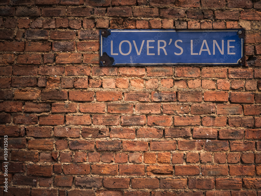 Fototapeta premium Lovers Lane Sign