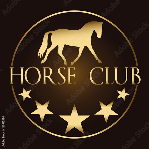 Logo vector image of golden horse & stars on a dark background. Horse logo template. Logo element, icon. Suitable for riding dressage school, farm, ranch, stable, club logo, visiting card. 