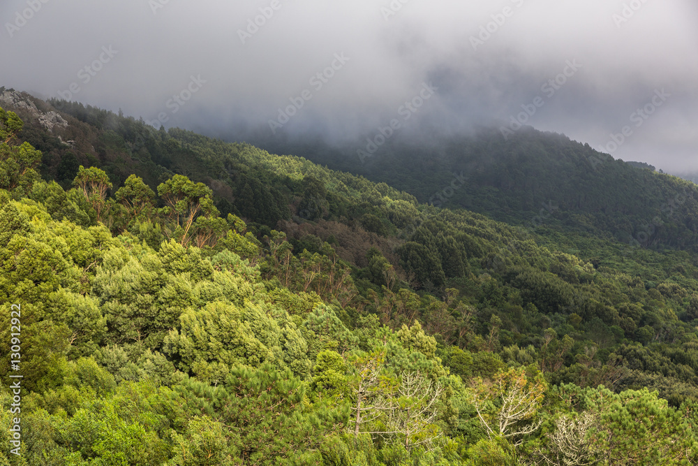 Fototapeta premium Autumn landscape. Highest viewpoint of Sintra region, Santuario da Peninha, Portugal.