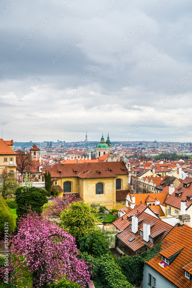 Prague roof tops and blooming trees