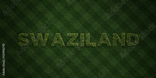 SWAZILAND - fresh Grass letters with flowers and dandelions - 3D rendered royalty free stock image. Can be used for online banner ads and direct mailers.. photo