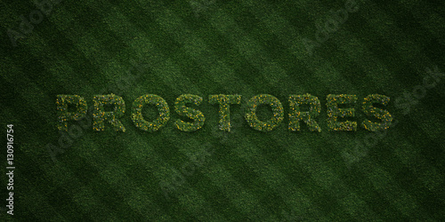 PROSTORES - fresh Grass letters with flowers and dandelions - 3D rendered royalty free stock image. Can be used for online banner ads and direct mailers.. photo