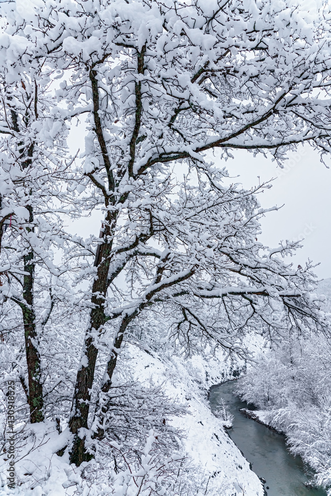 Beautiful snowy mountain forest and a river. Cloudy winter scenic vertical landscape Beautiful snowy mountain forest and a river. Cloudy winter scenic vertical landscape