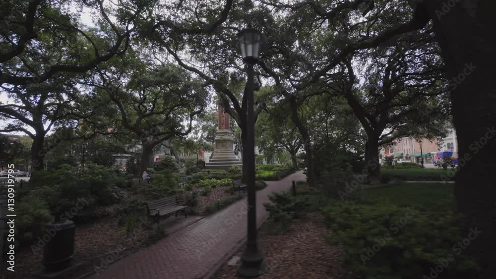 The historic district from Savannah with Live Oaks covered in Spanish Moss , Georgia, USA, SEP 2016 The historic district from Savannah with Live Oaks covered in Spanish Moss , Georgia, USA, SEP 2016