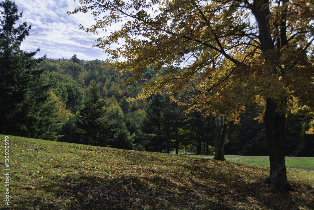 Fototapeta premium Diamond Hill fall day