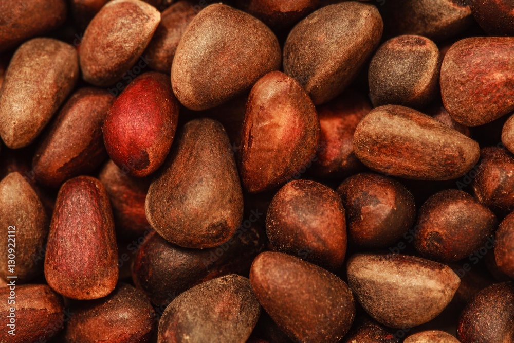 Obraz premium pine nuts in the shell photo, nutshell texture