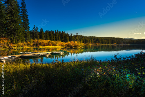 Clear Lake Oregon Landscape