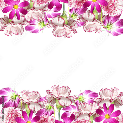 Beautiful background of flowers carnations and cosmos 